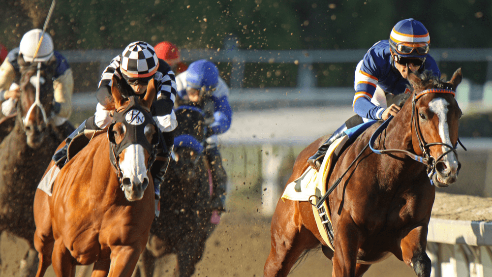 Medina Spirit horse trainer Bob Baffert is barred from Preakness Stakes ...