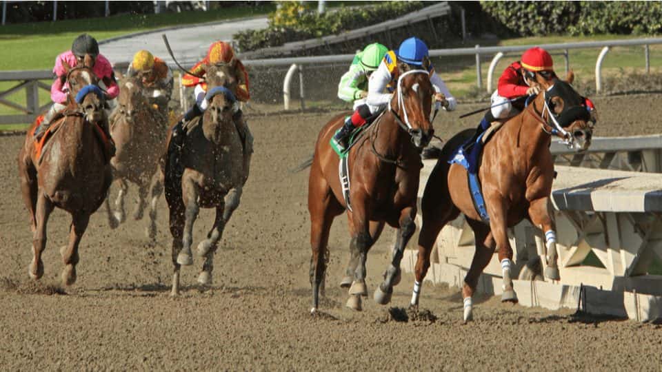 Belmont Stakes To Run June 20th Without Spectators JoeTown 107.5 FM