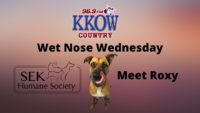 wet-nose-wednesday