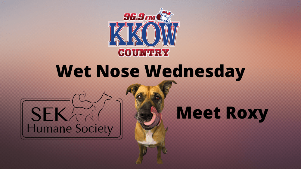 Wet Nose Wednesday Roxy KKOW 96.9 FM Country