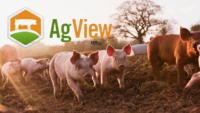 ag-view