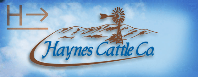 Haynes-Cattle-Co_Cattleman-Slider