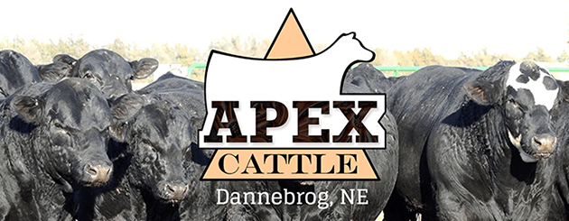 APEX-Cattlemen-Slider-Generic