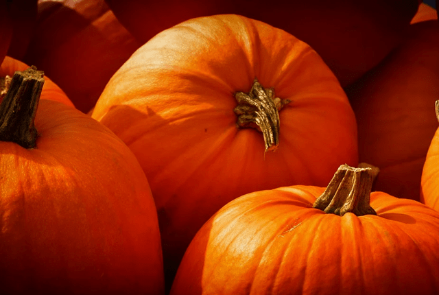 pumpkin_feat-png