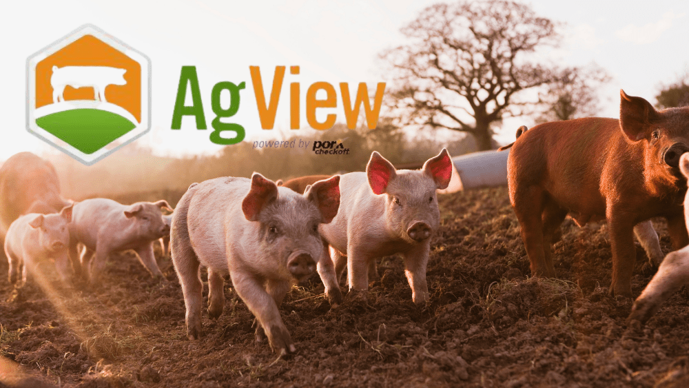 ag-view-png