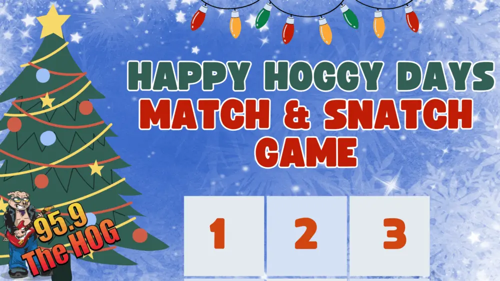hoggydays-match-game
