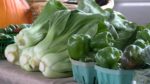 pittsburg-farmers-market-looking-for-vendors