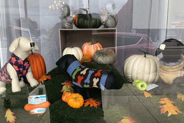 Posh Dogs Boutique