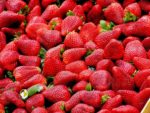 stawberries-jpg