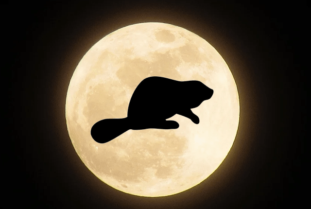 beavermoon-png