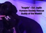 rescue-buddy-of-the-week-11jul2023-pic-2
