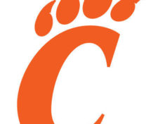 carterville-lions-logo