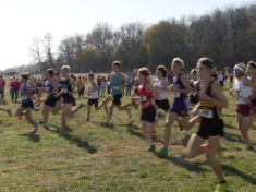 state-xc-pic_1-5-1