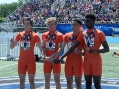 herrin-4x200-pic