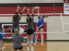 vb-all-star-pic2