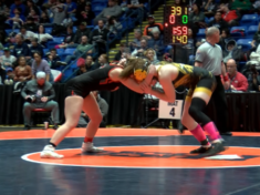 girls-state-wrestling-ming
