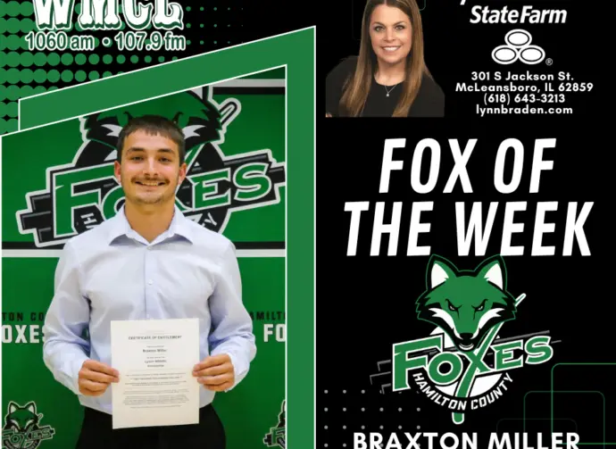 fox-of-the-week-1-3