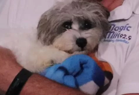rescue-buddy-of-the-week-pic-29oct2024-jpg-3
