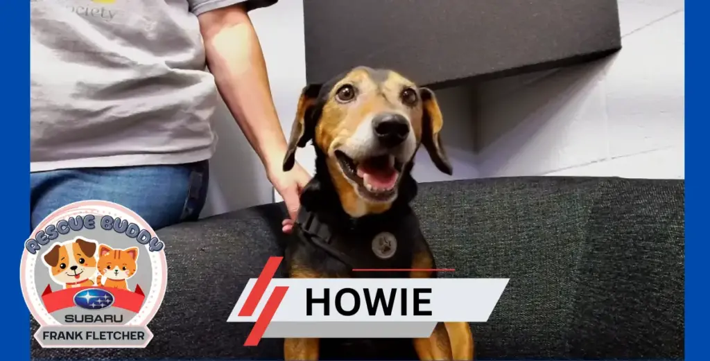 howie-rescue-buddy-9-18-25-png