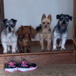 Where ya going without us