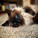 Oliver