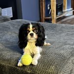 play time