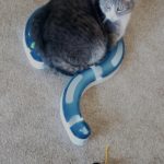 Mittens: What?