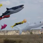 P1130476