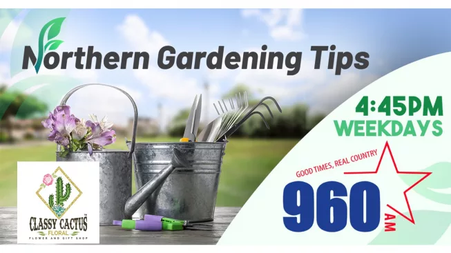 revised-northern-gardening-tips