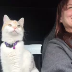 Traveler’s Cat Miss Hailey: Best friends forever!