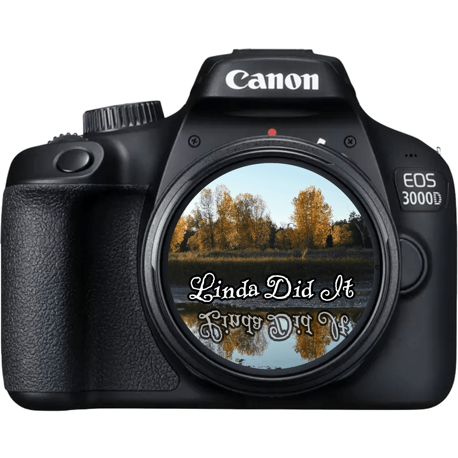 lindadidittransparent-7