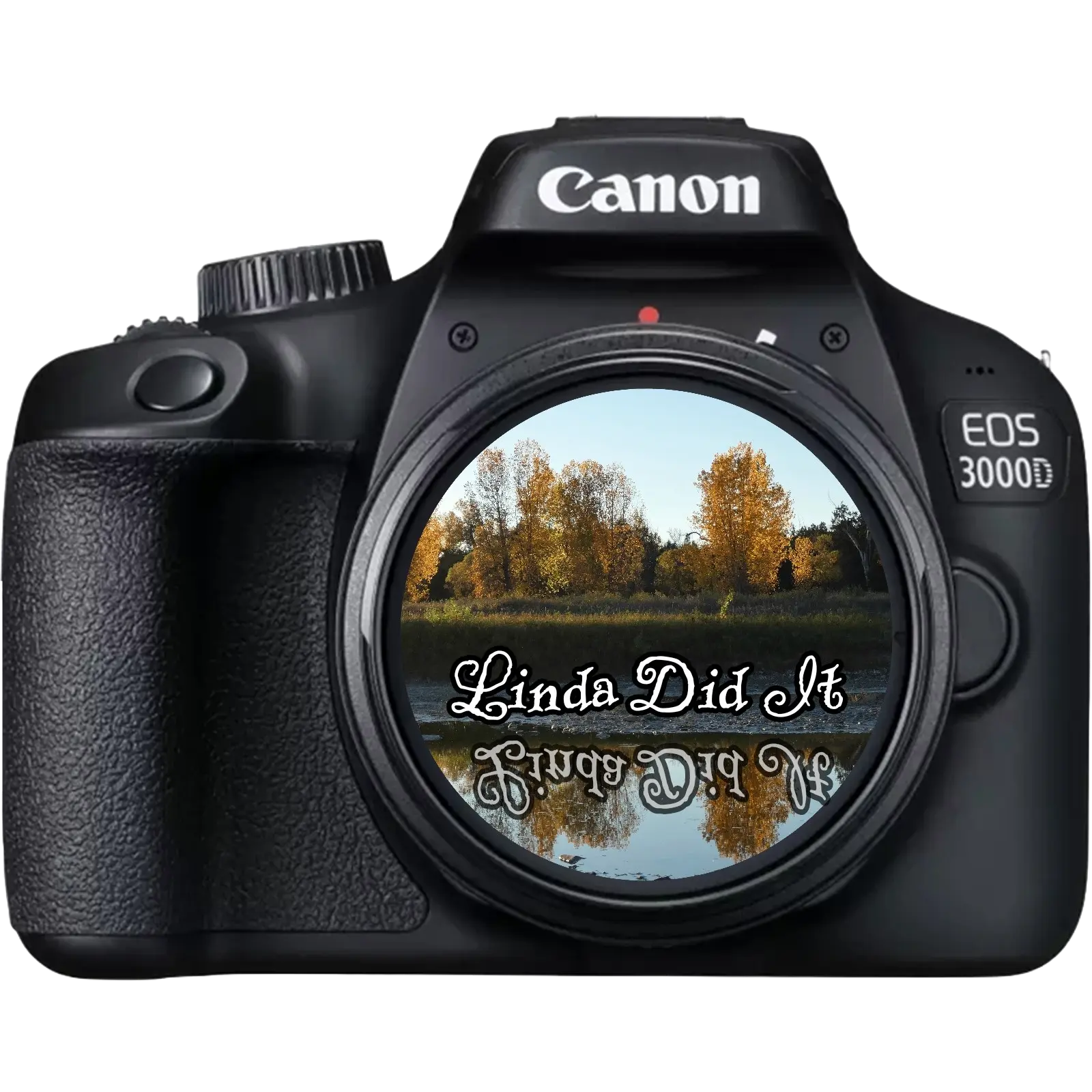 lindadidittransparent-11