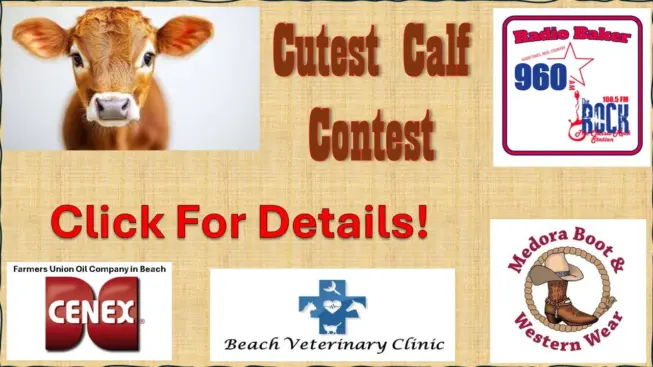 cutest-calf-2026-slider1