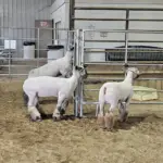 1000006554