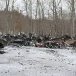 wayne-fire-150x150564037-1