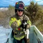 lucy-the-cat-150x150495833-1