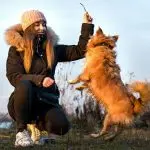 dog-and-woman-150x150515338-1