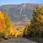 golden-road-heading-west-150x150280277-1