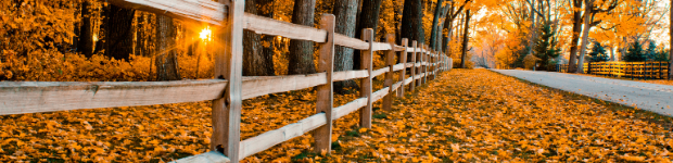 rustic-road-header