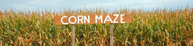 corn-maze-620-x-50