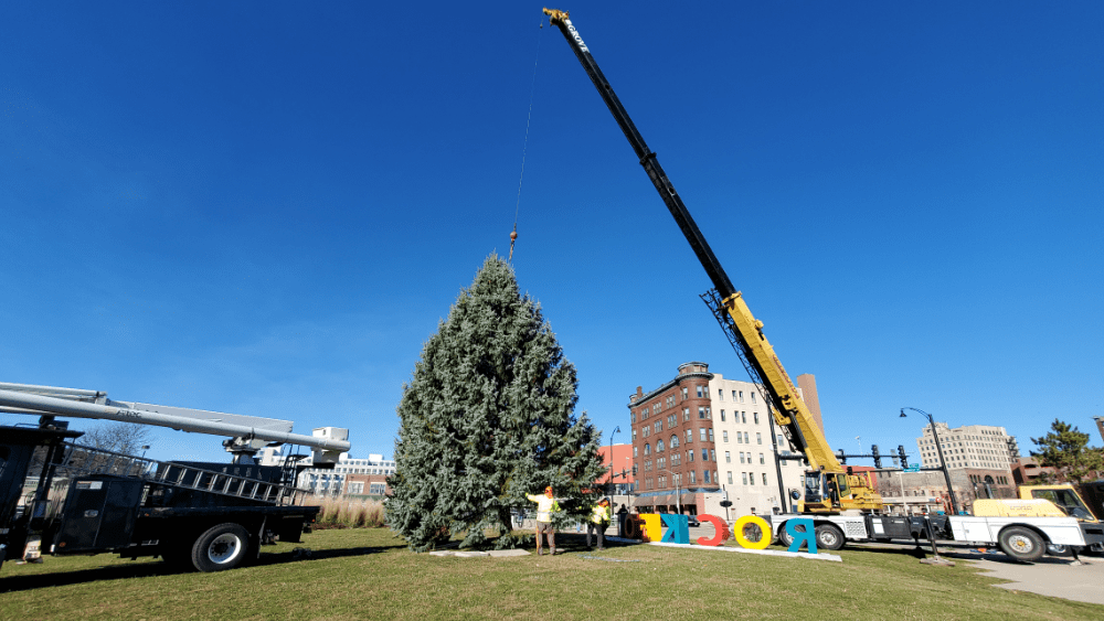 Christmas Tree Cutting for Stroll on State Rock River Current