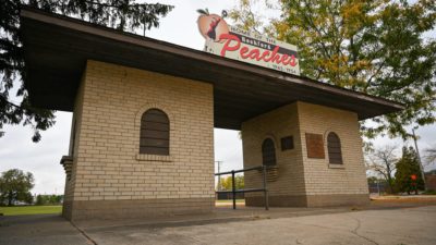 Rockford Peaches Fan Trail in Rockford