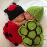 turle-and-lady-bug
