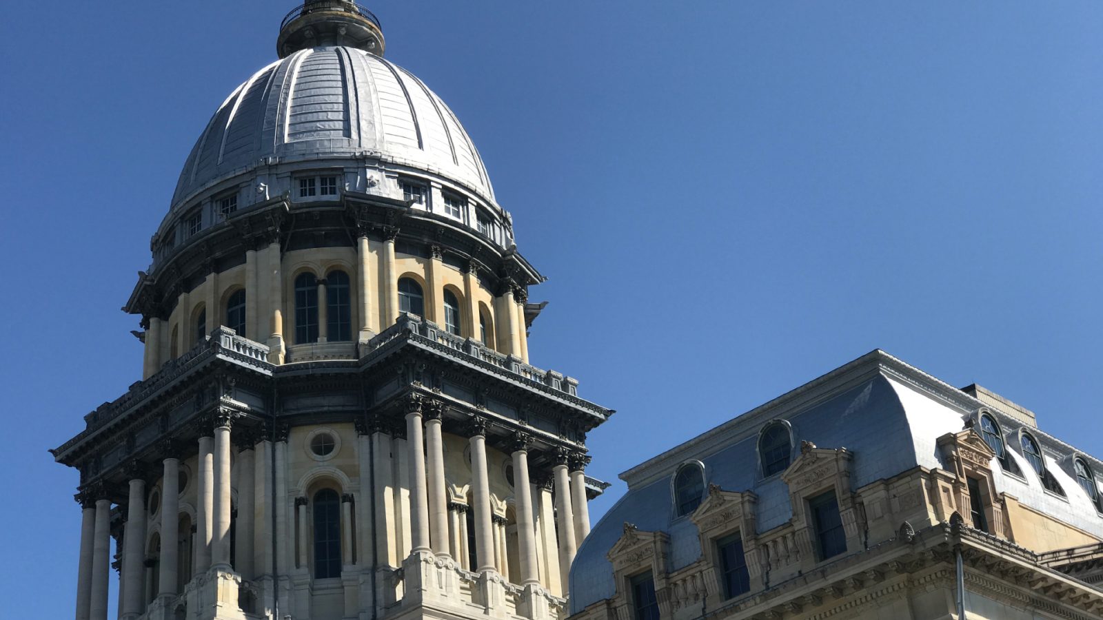 From a ban on latex gloves to an official state snake Nearly 200 new