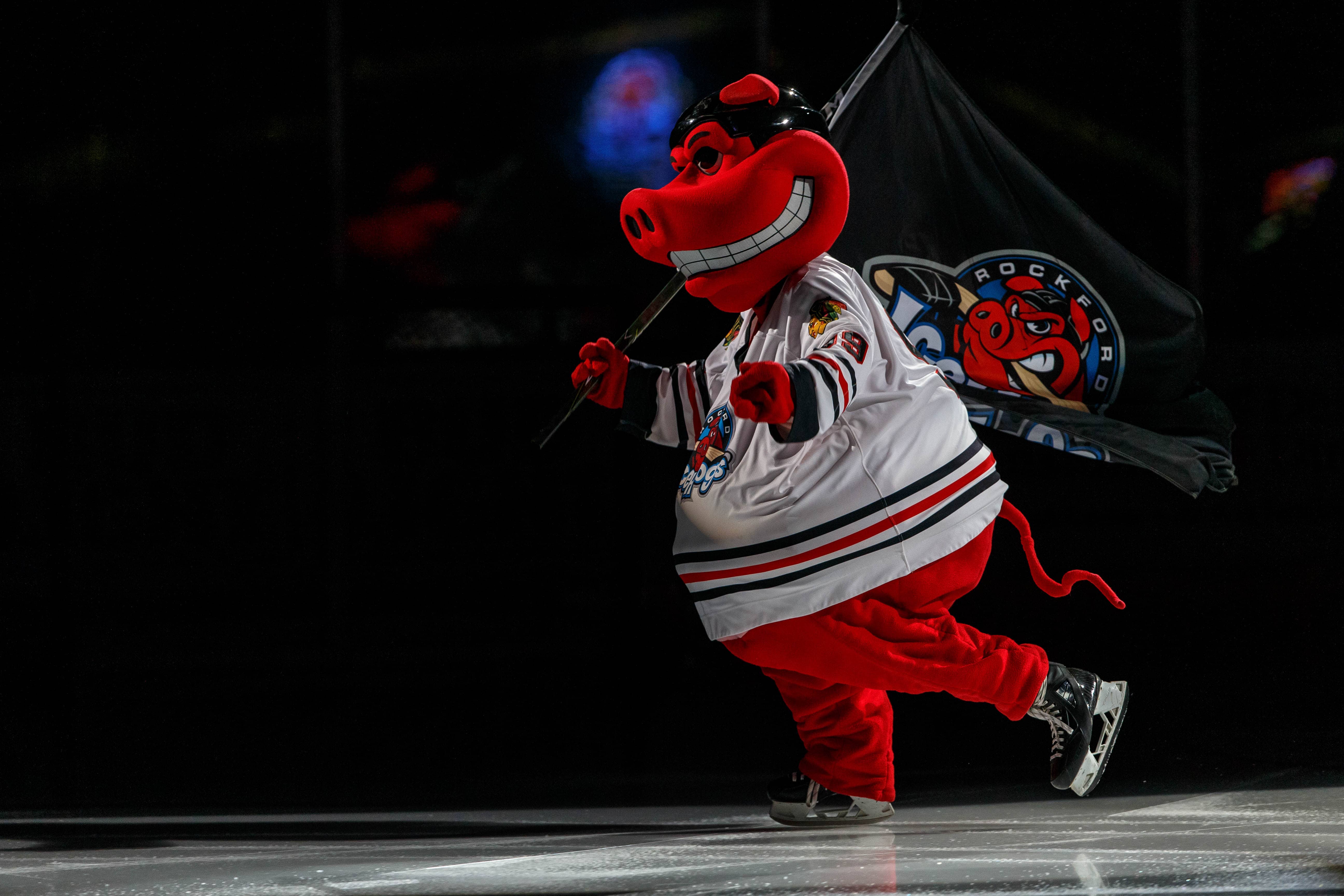 Rockford Icehogs fans petition to bring back original Hammy