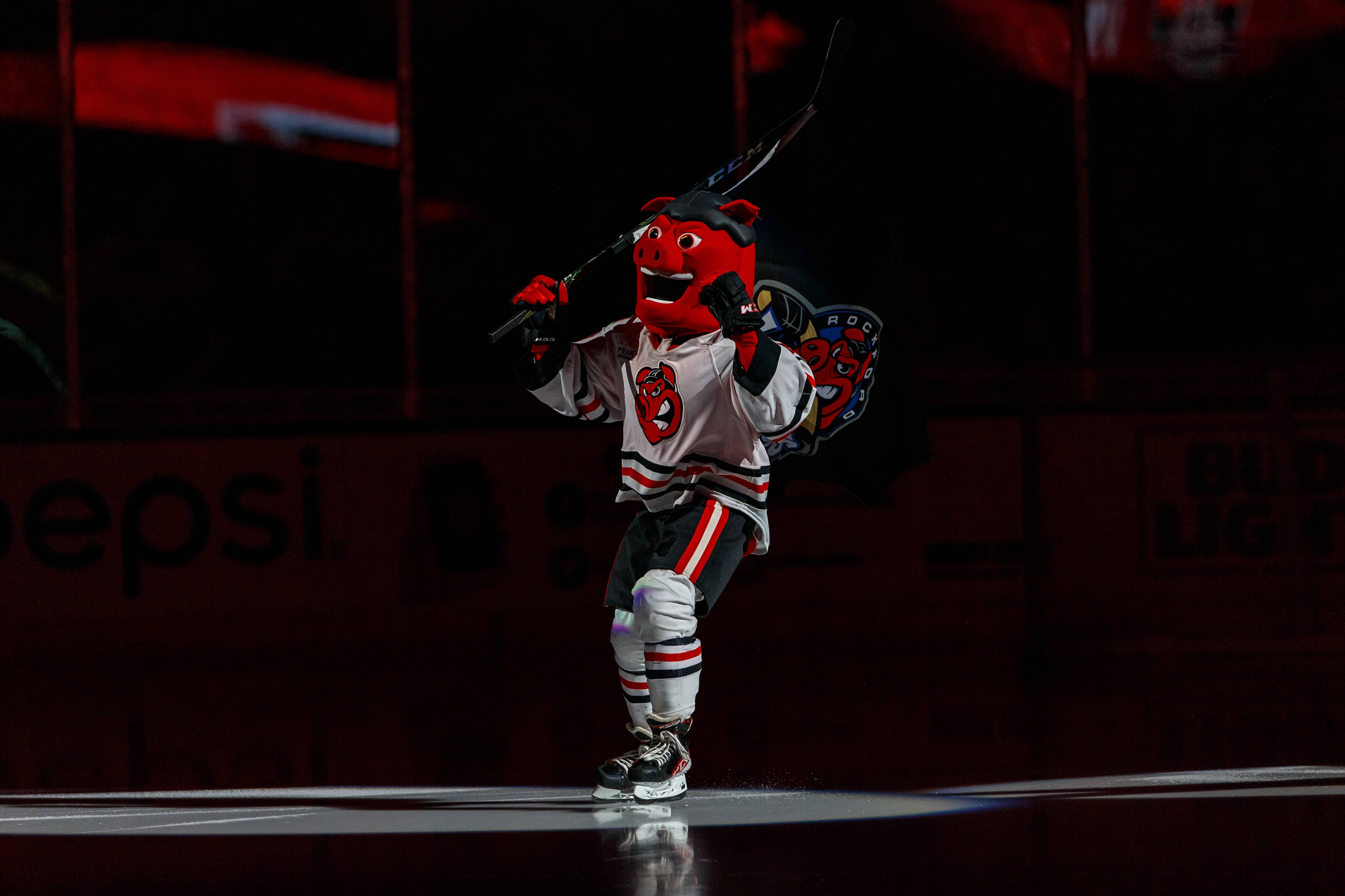 Rockford IceHogs roll with new-look Hammy, although the mascot may evolve Sports Fan 1330 WNTA-AM