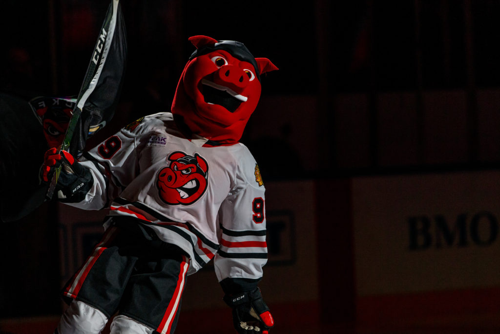 Rockford IceHogs roll with newlook Hammy, although the mascot may