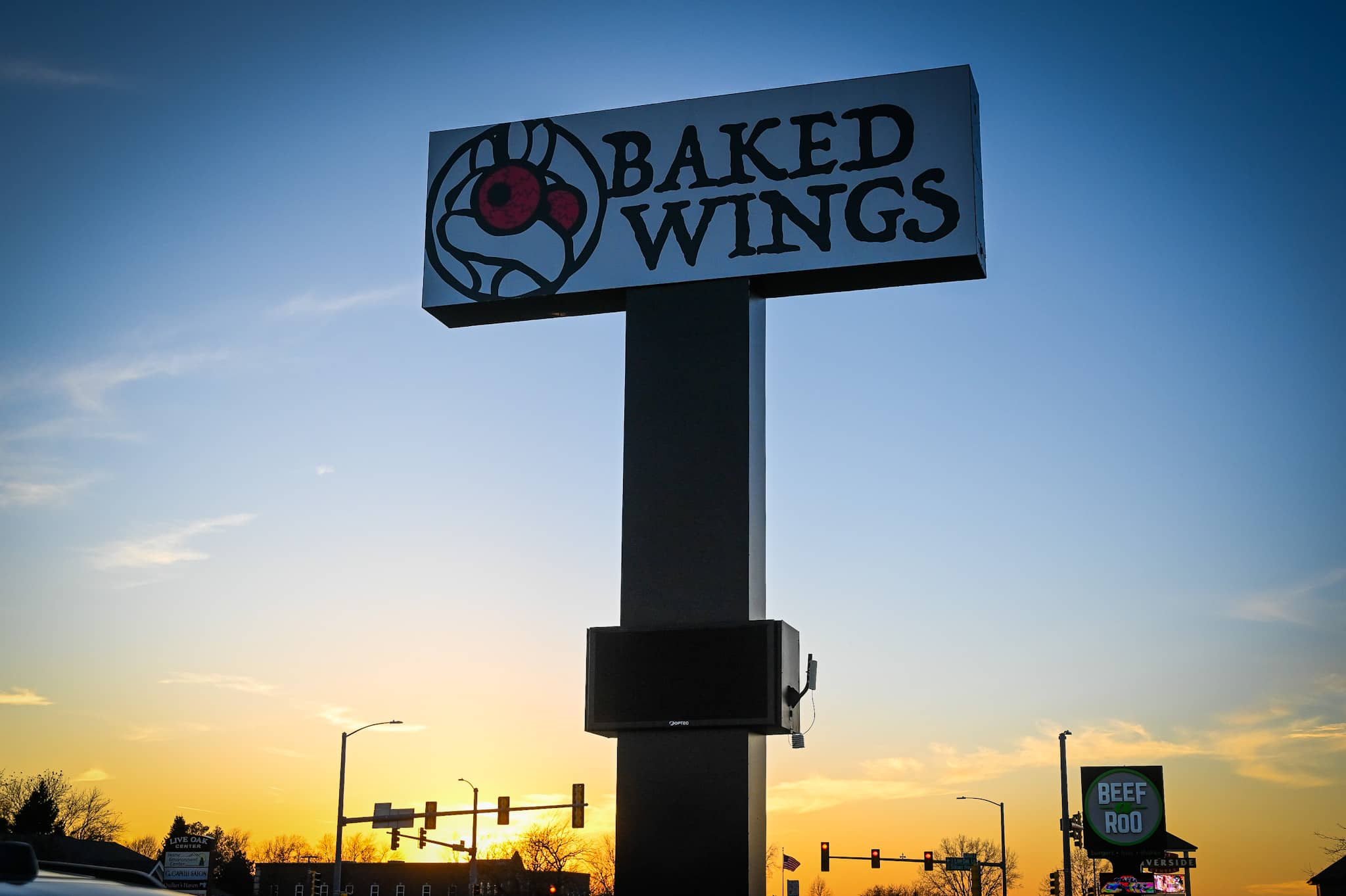 Baked Wings