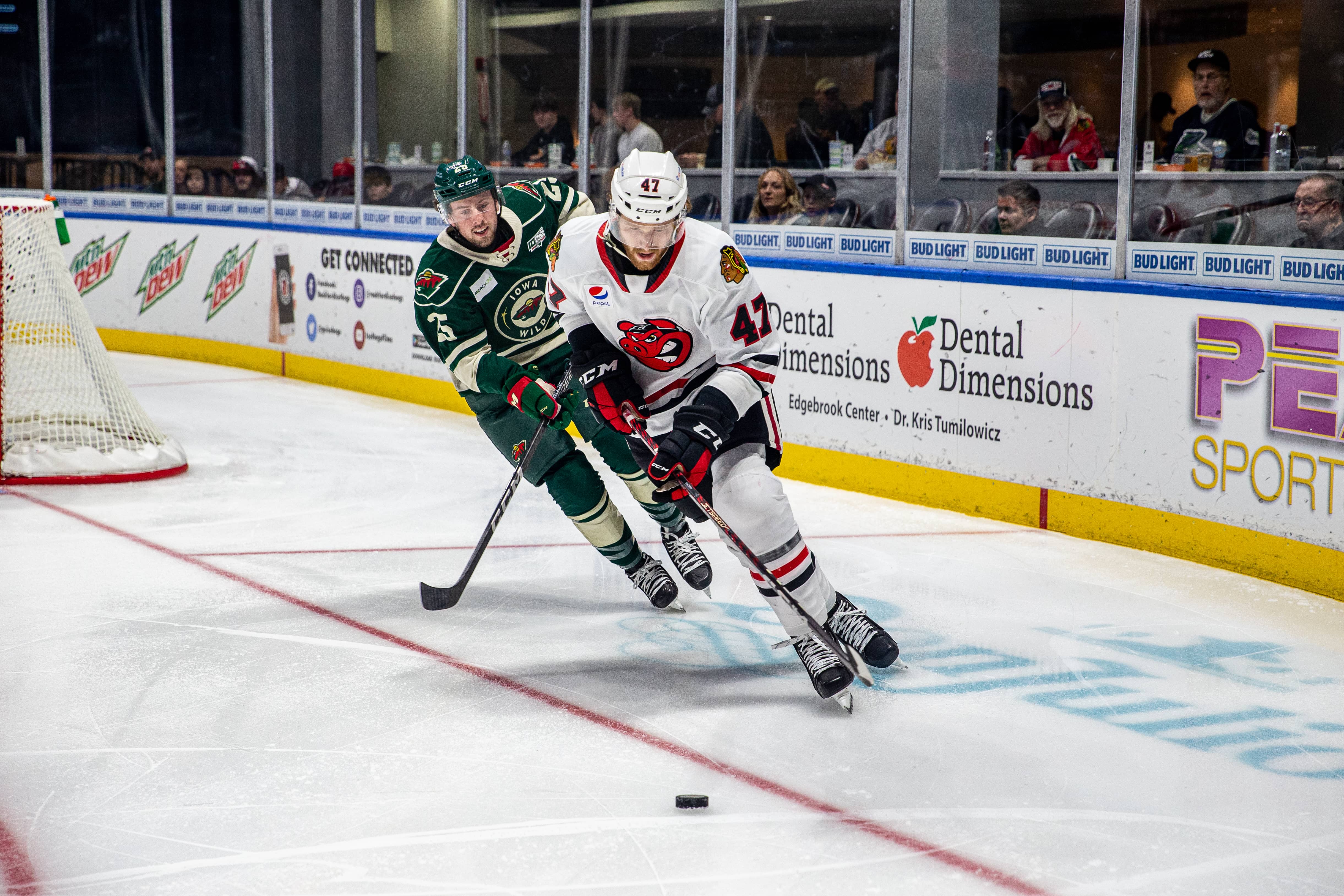 Rockford IceHogs players deliver teddy bears to Mercyhealth