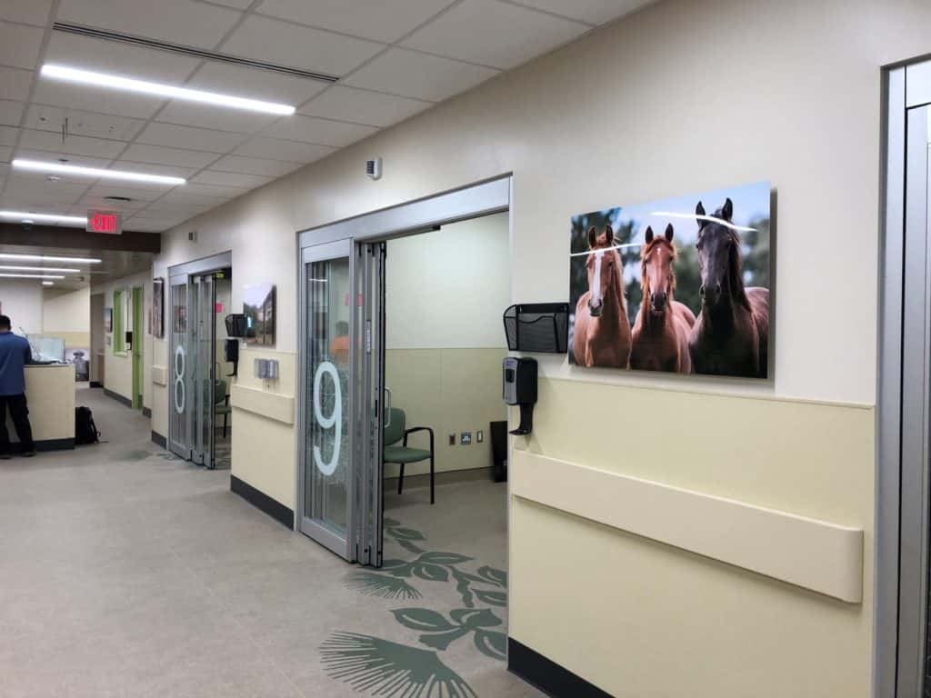 North Hawaii Hospital to resume routine services, elective surgeries